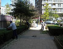 TFI1