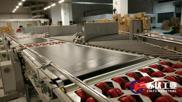 斜擺輪自動分揀線(圖1)