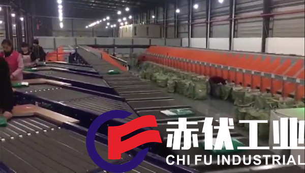 智能交叉帶分揀機解決方案(圖1)